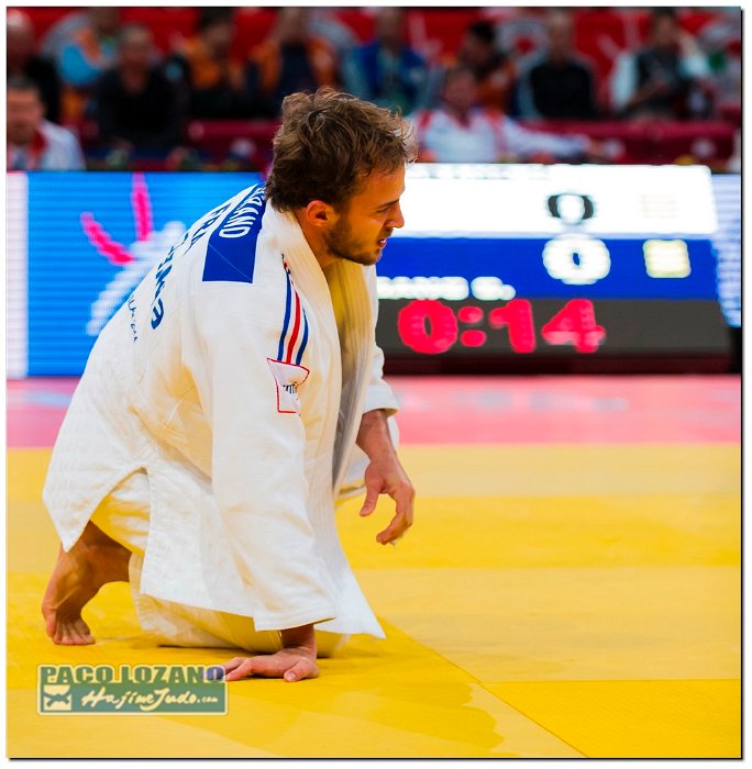 Paris 2014 by P.Lozano cat -73 kg (144)